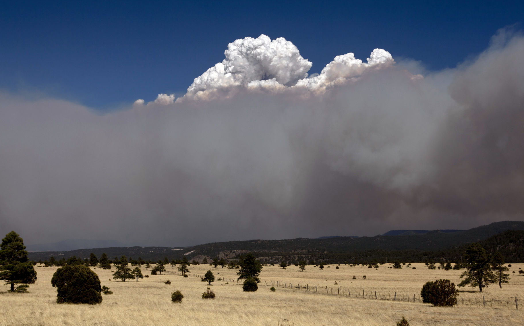 The Wallow Fire of 2011